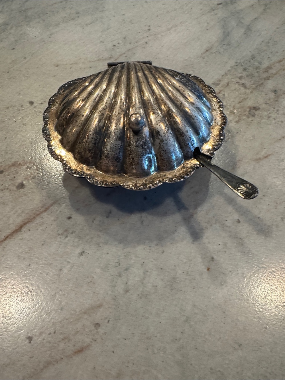 Silver plated antique Shell-Style caviar/butter dish?